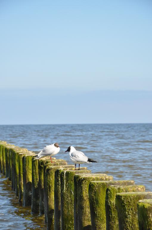 Koserow Seetelhotel Nautic Usedom Hotel & Spa מראה חיצוני תמונה